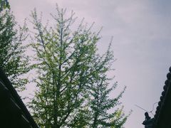 -保定直隶总督署博物馆