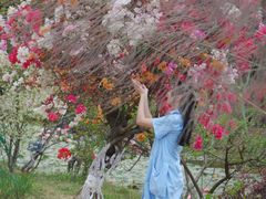 -东莞植物园