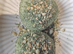 -缸鸭狗(天一广场店)