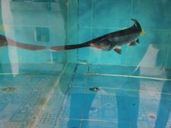 -漓江又一軒·广西菜·桂林米粉(梅林店)