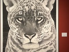 -江苏省美术馆(长江路新馆)