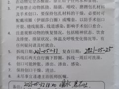 -派美特宠物医院·核磁CT·骨科肿瘤·疑难转诊(沈农禾丰店)