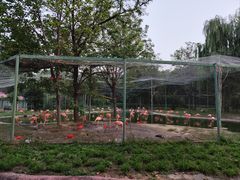 -石家庄市动物园