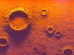 -胖子烧烤海鲜(亲贤北街店)