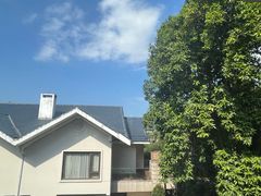 -鲤鱼洲酒店港鲤咖啡厅