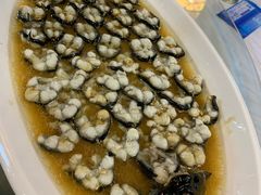 -呼吸森林·生态农庄农家乐私房菜