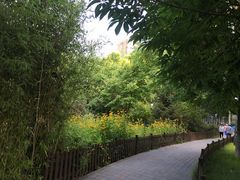 -北极寺公园