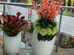 -万达广场(东莞厚街店)