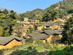 -杨家堂村