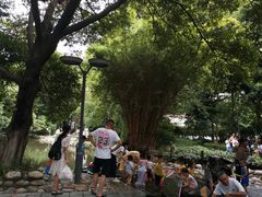 -成都市活水公园