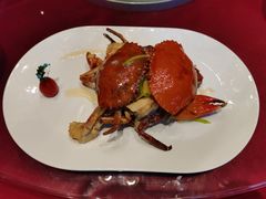 -沪碟·精菜坊(闵行店)