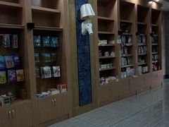 -瑞派名望志远动物医院·猫科·內科·异宠专科(直港大道店)