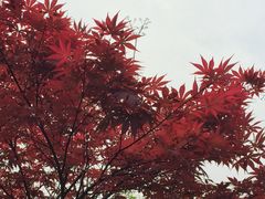 -杭州城北体育公园