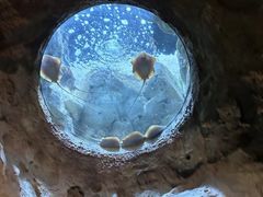 -珠海长隆海洋王国