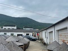 -苏州市吴中区光福窑上花果蜜饯厂