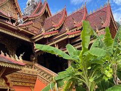 -西双版纳傣族园