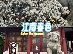 -堤角公园