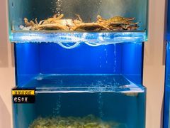 水产区-赶海部落海鲜城(海阳路店)