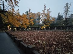 -四川大学(华西校区)