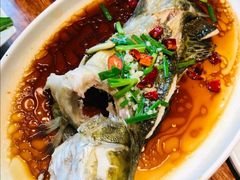 广式蒸大桂鱼-四季暖堂·融合江浙菜(N1955创业园店)