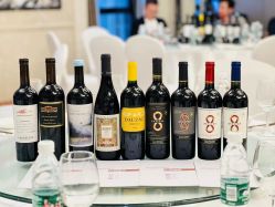 -成都大鼎世纪大酒店·宴会厅