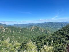 -大岭沟猕猴桃谷风景区