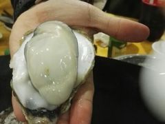 -蚝专家(北滘店)