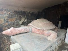 -上海佘山国家森林公园天马山园