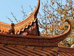 -梅州天地人花园酒店(梅县人民广场店)