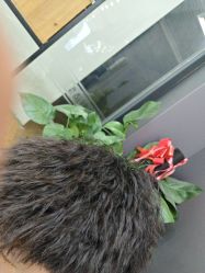 -藤野造型烫染·漂发