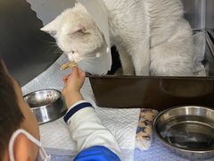 -美联众合动物医院·24h京西诊疗中心