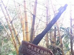 -呀诺达热带雨林