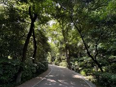 -北极阁公园