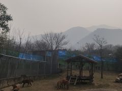-西安秦岭野生动物园