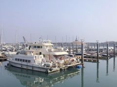 -渡海小渔村.老辈日照菜