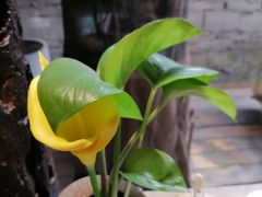 -生机蔬食·24节气料理餐厅(番禺广场店)