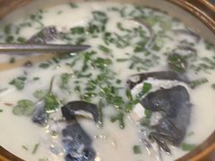 鱼头-旭龙鱼头王(航华店)