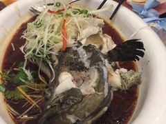 清蒸深海油斑鱼-太子园林酒家