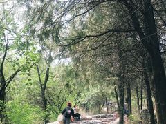 -阳台山自然风景区