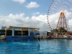 -三亚海昌梦幻海洋不夜城