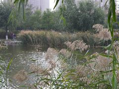 -前关湿地公园