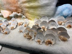 -川骄海鲜自助(亚运村店)
