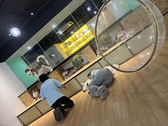 -Husky Go! 哈士奇体验馆·宠物咖啡厅狗咖