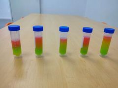 -斯坦星球AI编程·机器人科创·科学实验·信奥·思维·STEM·乐高·竞赛考级(长宁虹桥大融城荟聚中心)