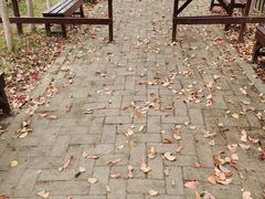 -武汉紫薇都市田园