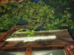 -蝶舍·MAISON PAPILLON