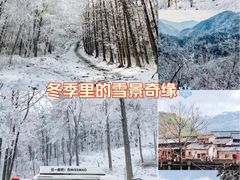 -四明山国家森林公园