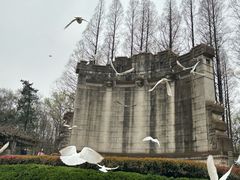 -灵谷景区