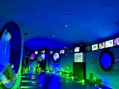 -烟台海昌鲸鲨海洋公园