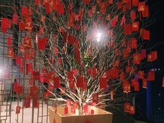 -君悦酒店·乐厨·高空自助餐(青年大街店)